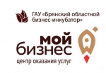 В Брянске социальных предпринимателей бесплатно обучают основам бизнеса
