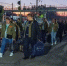 Делегация брянской молодежи примет участие во Всероссийском слете студотрядов - Стародубский Вестник