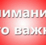MnN9rT 8BGw - Администрация города Стародуба