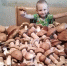 Доброй вам «охоты»! - Стародубский Вестник