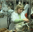 На Брянщине стартовала программа профобучения - Стародубский Вестник