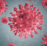 В Брянской области в нерабочие дни темпы роста заболеваемости COVID-19 снизились до 5,9% - Стародубский Вестник