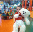 Желание 7-летней Маши из Мглина исполнила глава Брянска Марина Дбар - Стародубский Вестник