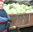 Руководитель Стародубского ЛПХ М. С. Пешая участвует в ярмарках выходного дня в Брянске - Стародубский Вестник