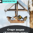 Как сделать правильную кормушку и помочь пернатым зимой: стартовала акция «Хранители птиц» - Стародубский Вестник