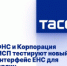 ФНС и Корпорация МСП тестируют новый интерфейс ЕНС для юрлиц - Стародубский Вестник