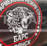 Бойцы «БАРС – Брянск» получат дополнительные льготы - Стародубский Вестник