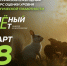 Брянцев приглашают принять участие в экологическом тестировании «Зелёный Зачёт» - Стародубский Вестник