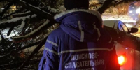 Аварийные бригады Брянска круглосуточно убирают последствия снегопада - Стародубский Вестник