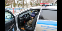Начальник УМВД по Брянской области исполнил желание мальчика из Комаричского района - Стародубский Вестник