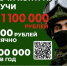 Председатель общественной организации «Союз женщин» Стародубского округа Зоя Владимировна Петрущенко поделилась своим мнением о службе по контракту:   - Стародубский Вестник