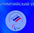 В Брянске проходят мастер-классы с паралимпийцами в рамках премии «Возвращение в жизнь» - Стародубский Вестник