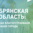 Две недели осталось до окончания голосования за объекты благоустройства в Брянской области - Стародубский Вестник