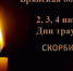 Губернатор Брянской области Александр Богомаз сообщил о трёхдневном трауре - Стародубский Вестник