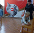 IMG 20250625 114117 - Детская библиотека
